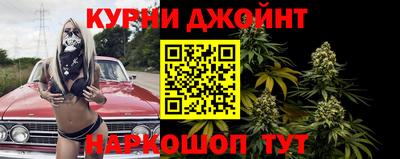 круглые Кингисепп