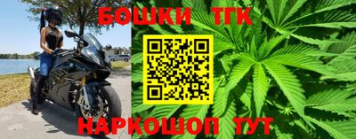 шишки Кинель