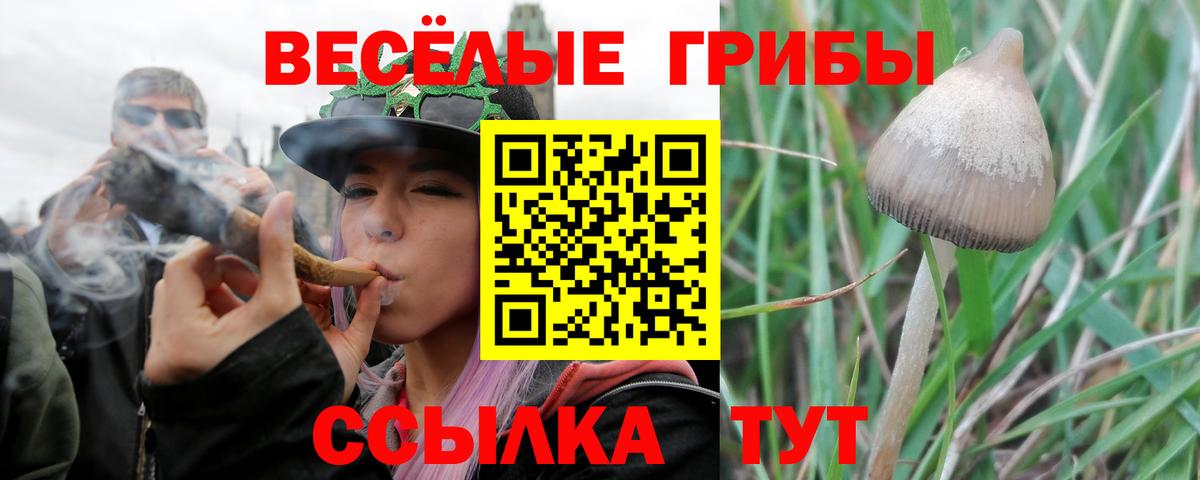 Галлюциногенные грибы ЛСД Тюмень